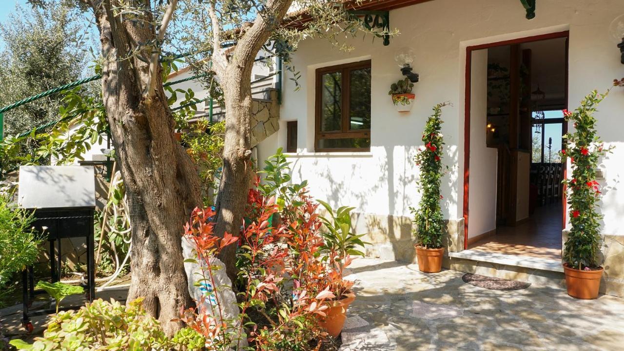 Amore Rentals - Casa Tatano Marciano Exterior foto